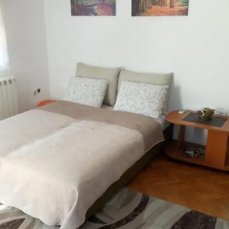 Apartment Cozy Belgrade